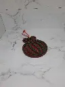 20231127_182426.webp
