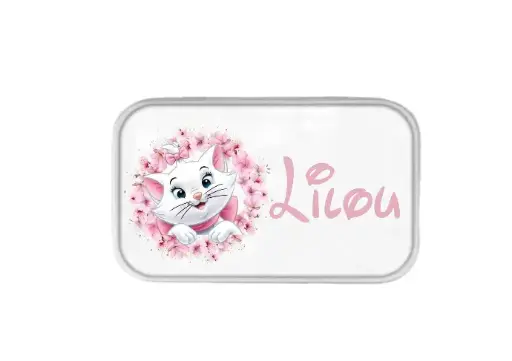 Boite à images Aristochats